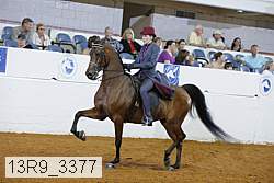 13r9_3377 proof