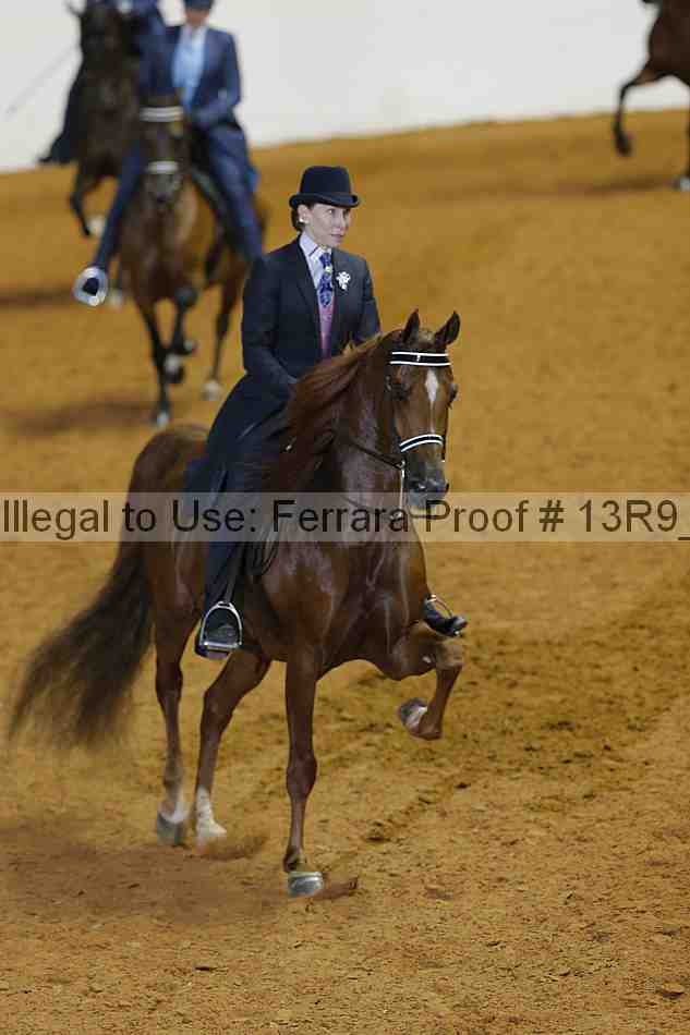 Proof 13r9_3379