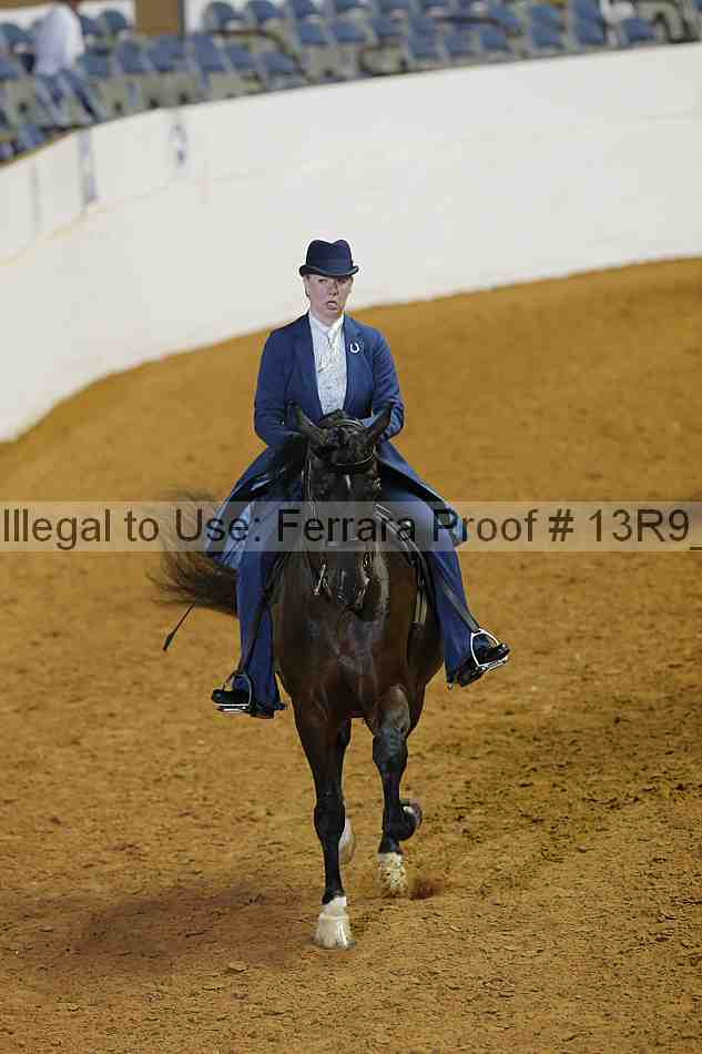 Proof 13r9_3382