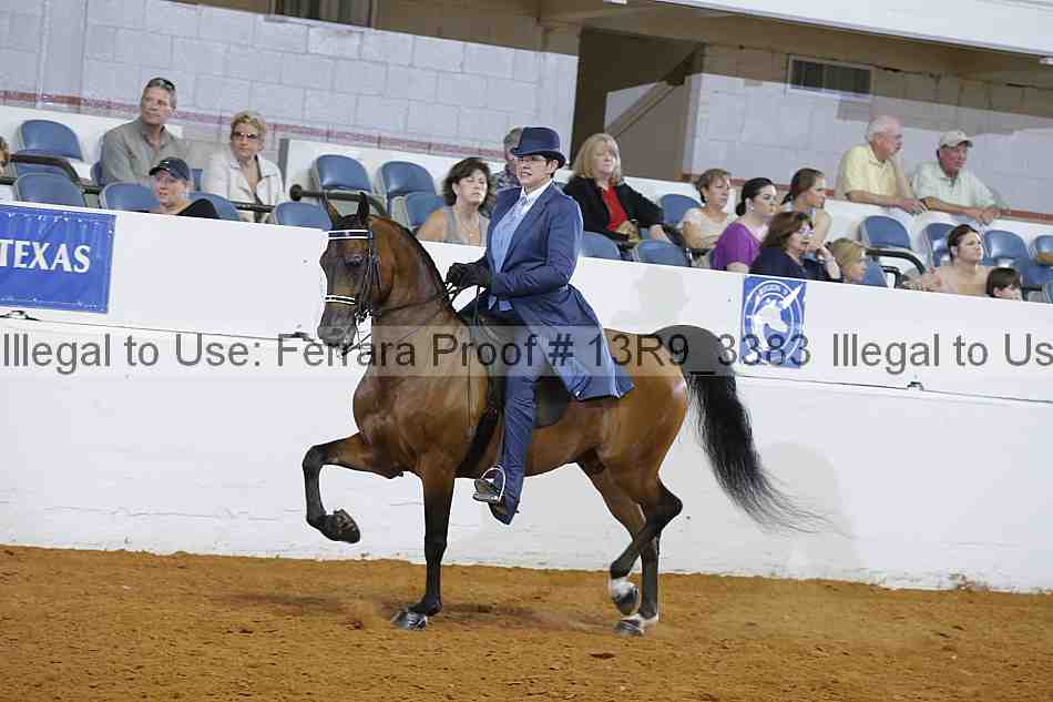 Proof 13r9_3383