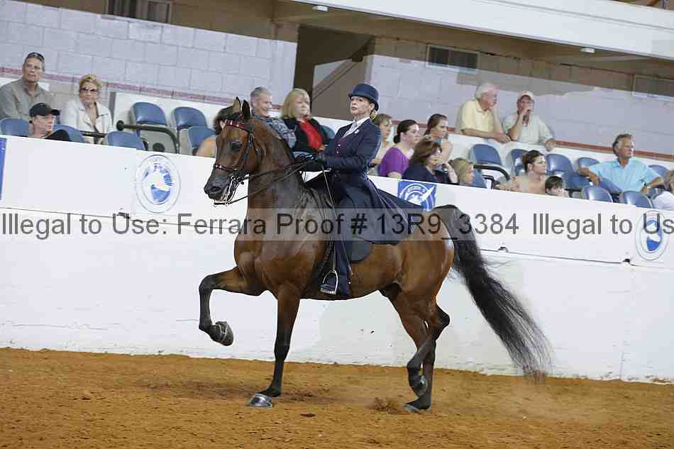 Proof 13r9_3384