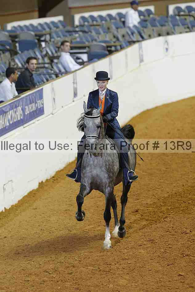Proof 13r9_3386