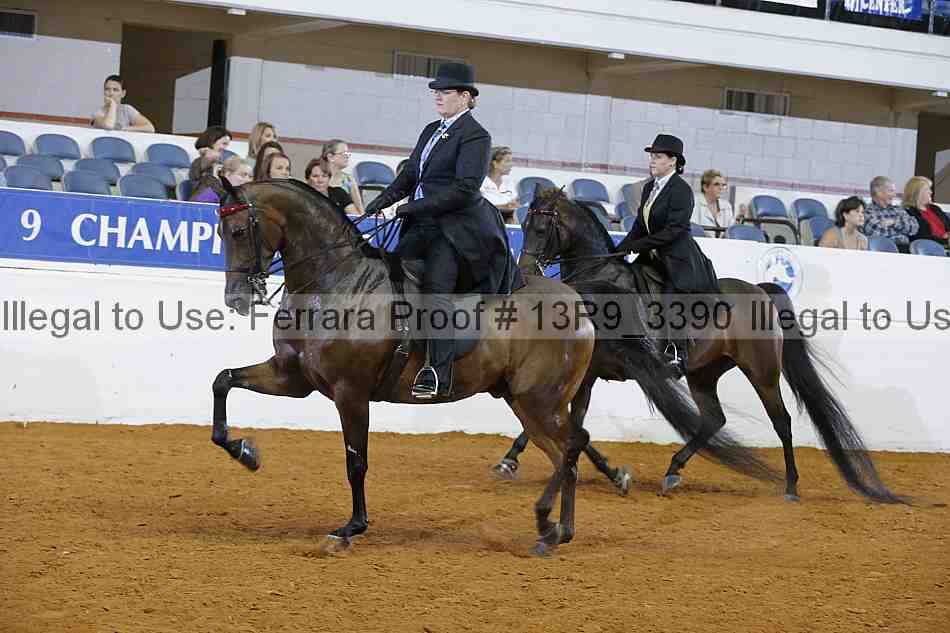 Proof 13r9_3390