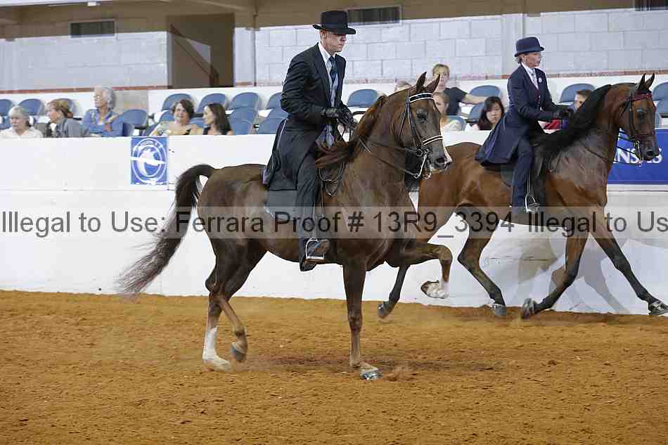Proof 13r9_3394