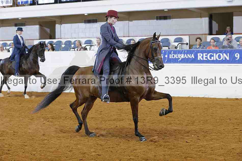 Proof 13r9_3395