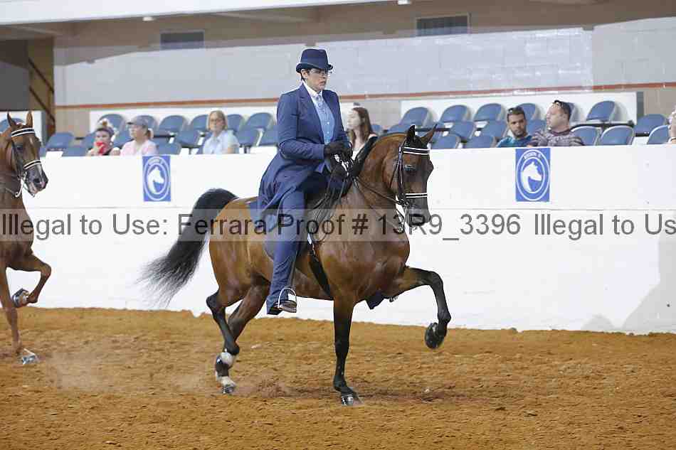 Proof 13r9_3396