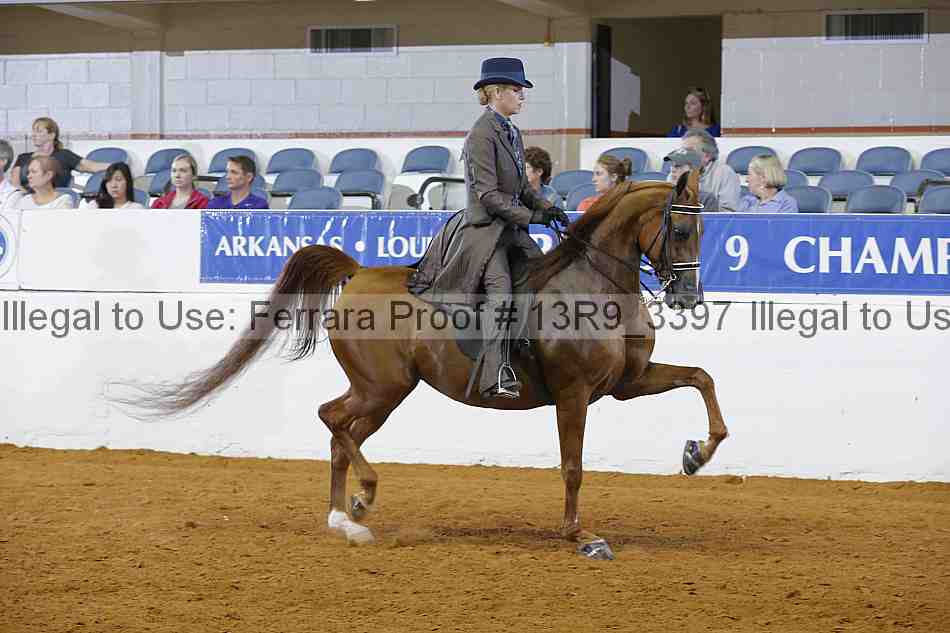 Proof 13r9_3397