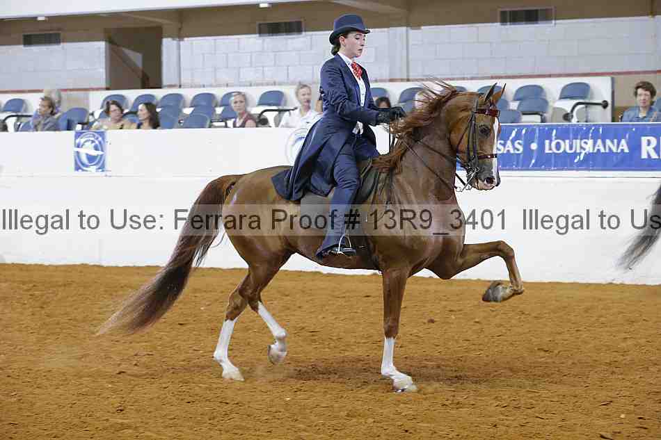 Proof 13r9_3401
