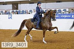 13r9_3401 proof