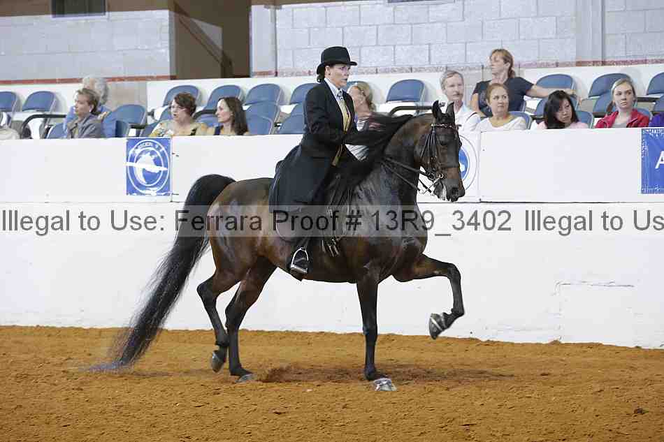 Proof 13r9_3402