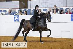 13r9_3402 proof