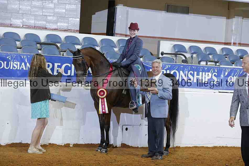 Proof 13r9_3406
