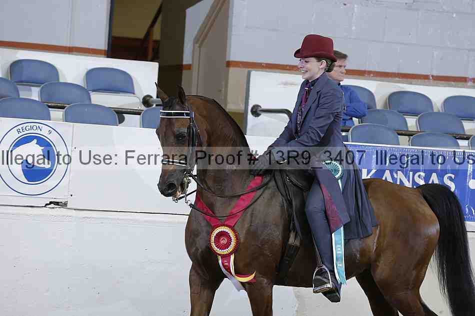 Proof 13r9_3407
