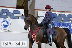 13r9_3407 proof