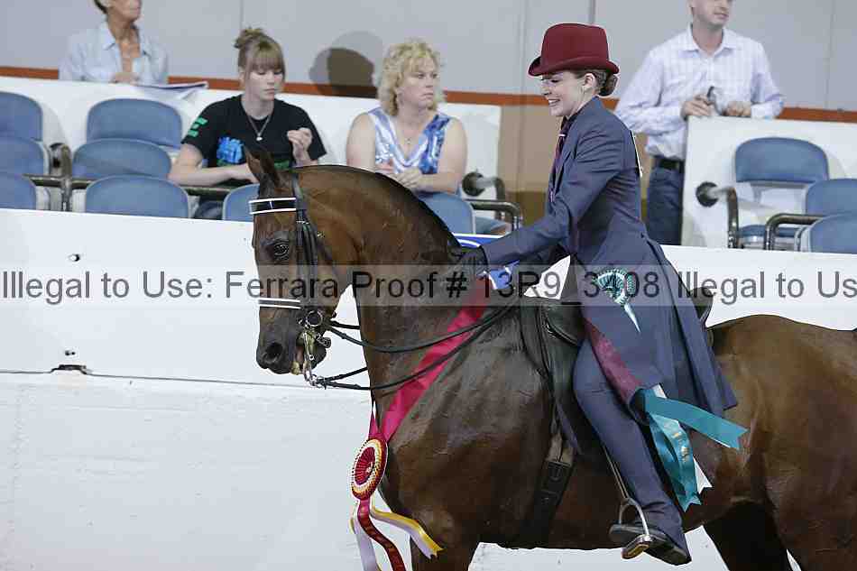 Proof 13r9_3408