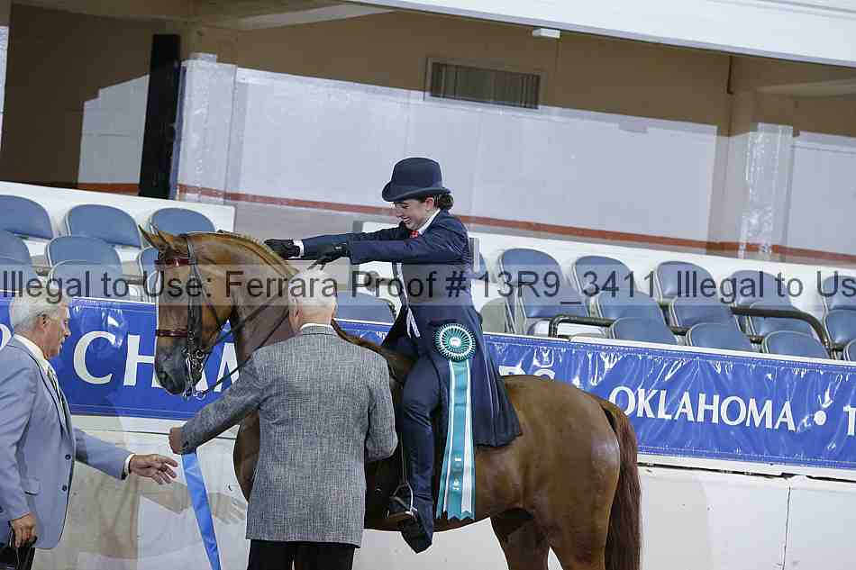 Proof 13r9_3411