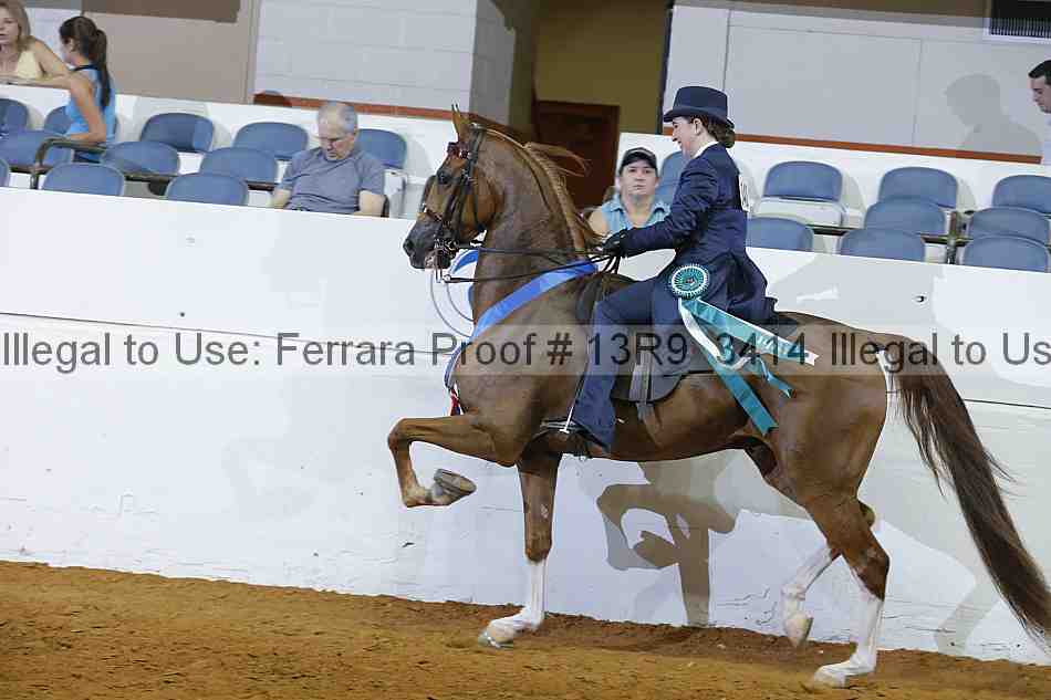 Proof 13r9_3414