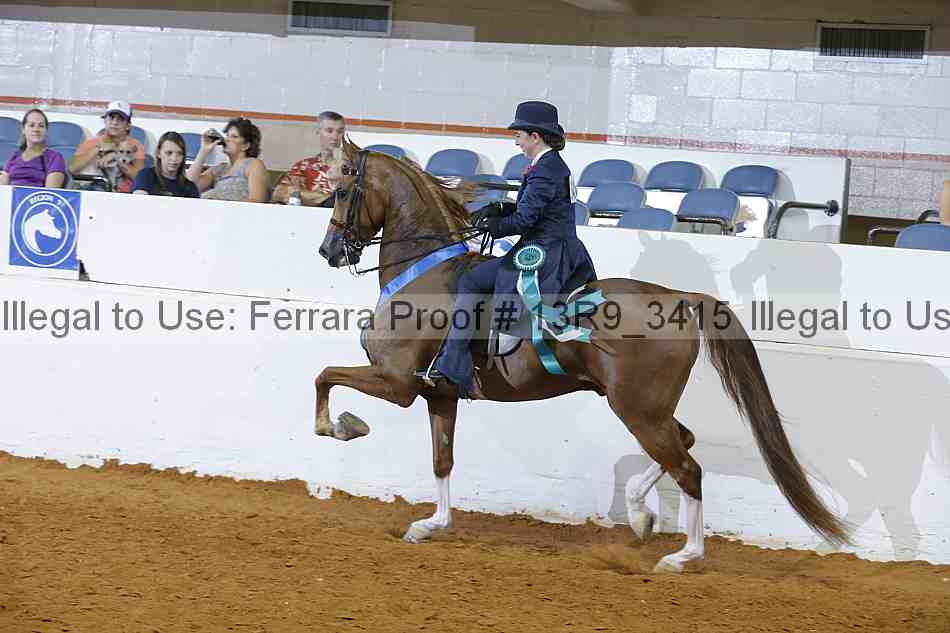 Proof 13r9_3415