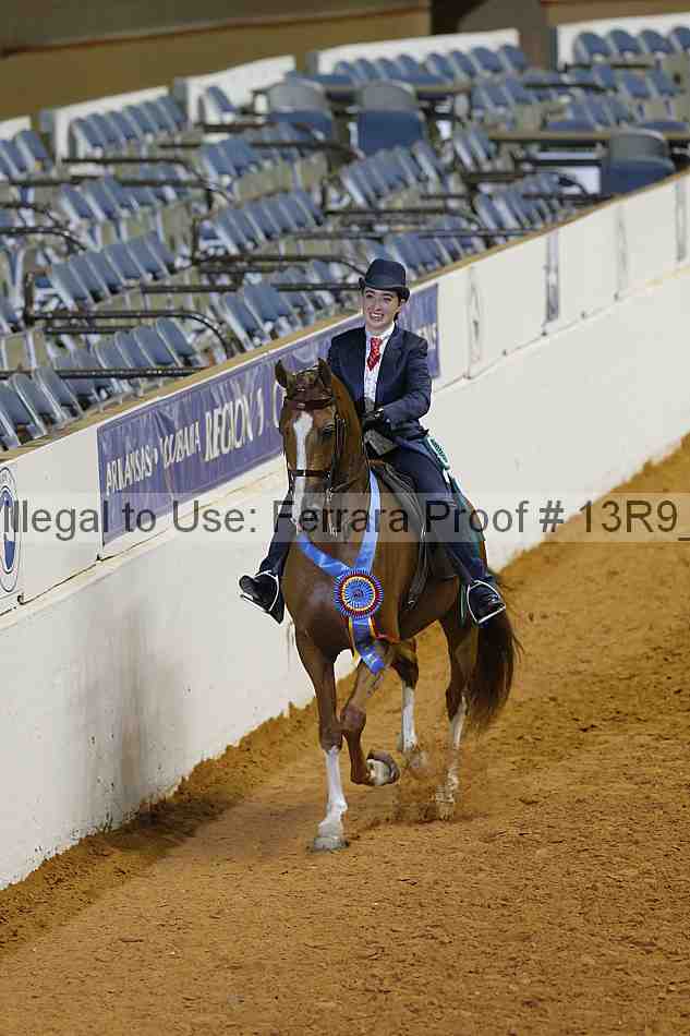 Proof 13r9_3416