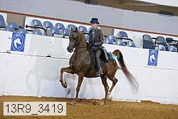13r9_3419 proof