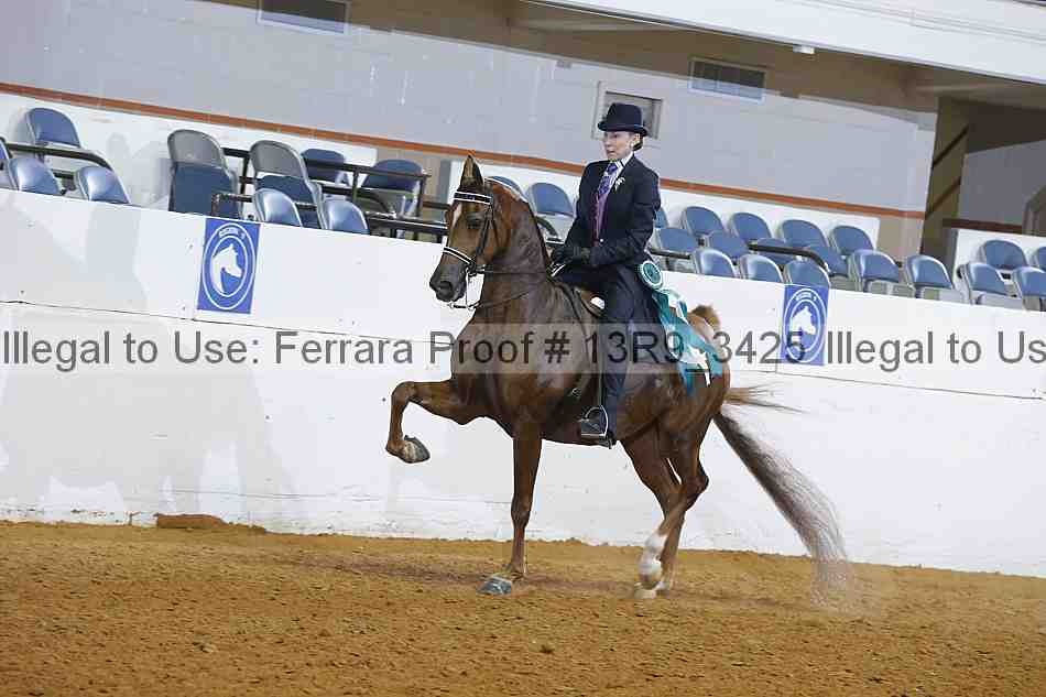 Proof 13r9_3425