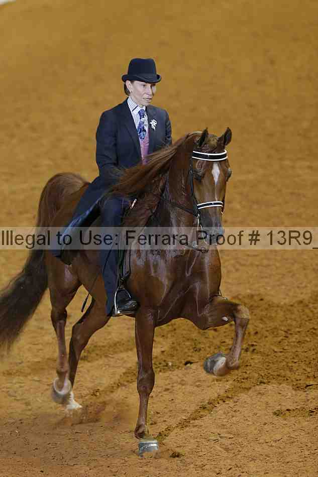 Proof 13r9_3431