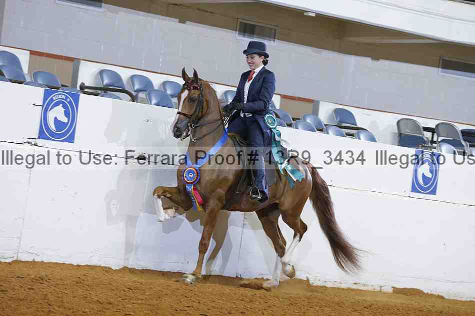 Proof 13r9_3434