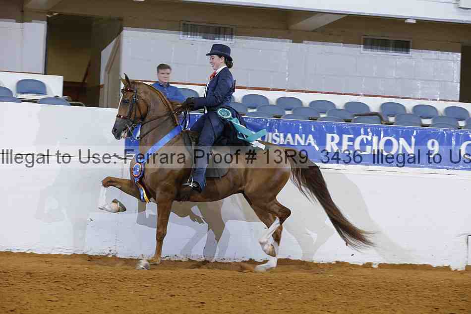 Proof 13r9_3436