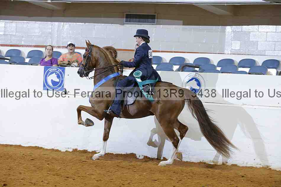 Proof 13r9_3438