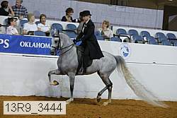 13r9_3444 proof