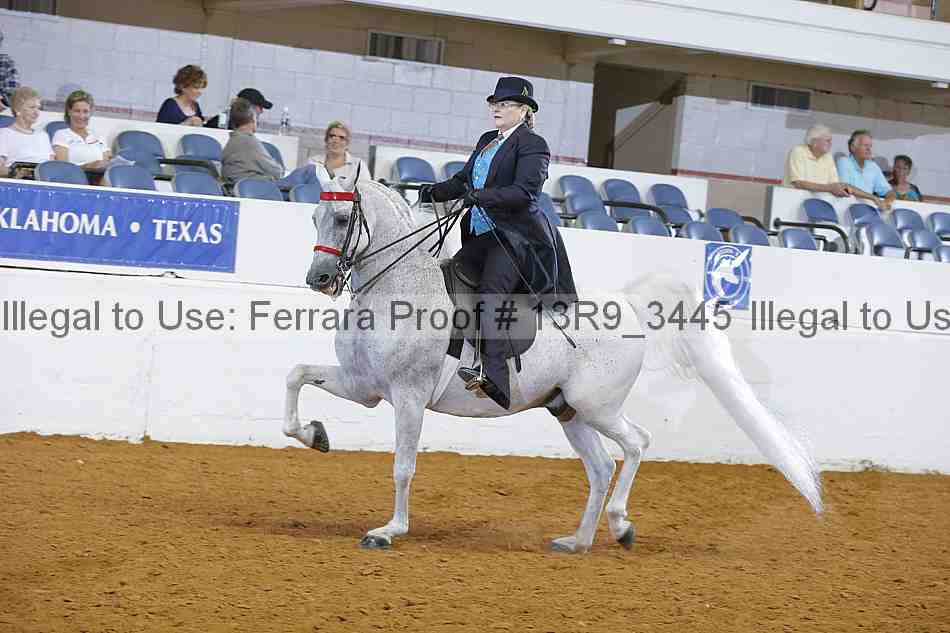 Proof 13r9_3445