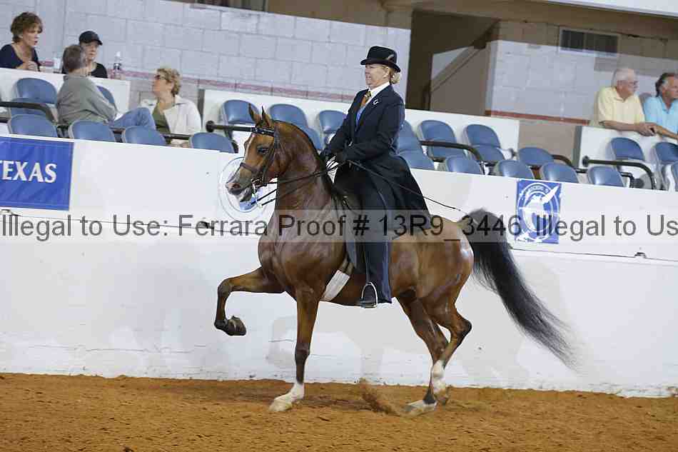 Proof 13r9_3446