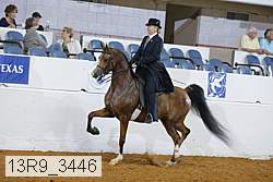 13r9_3446 proof