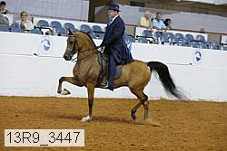 13r9_3447 proof