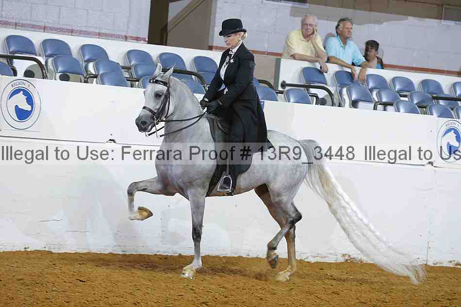 Proof 13r9_3448