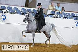13r9_3448 proof