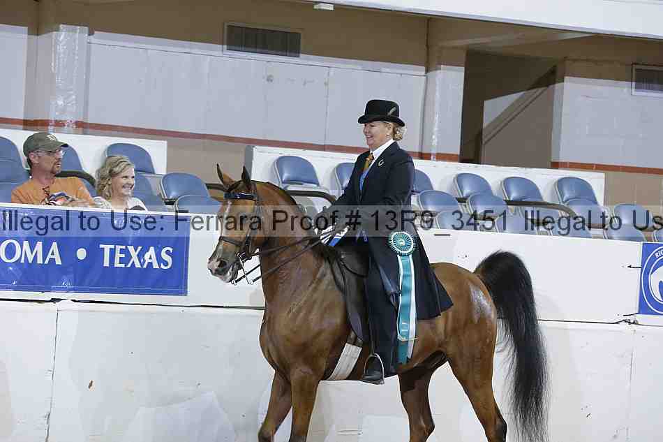 Proof 13r9_3451
