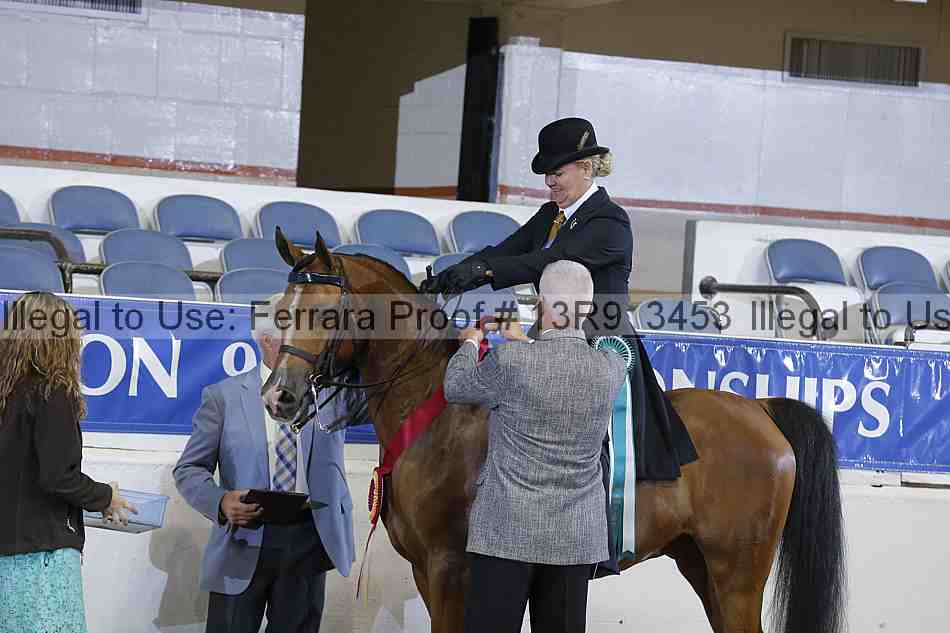 Proof 13r9_3453