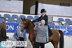 13r9_3453 proof