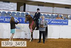 13r9_3455 proof