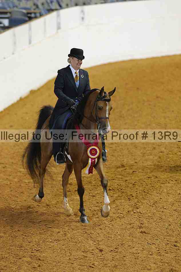 Proof 13r9_3457