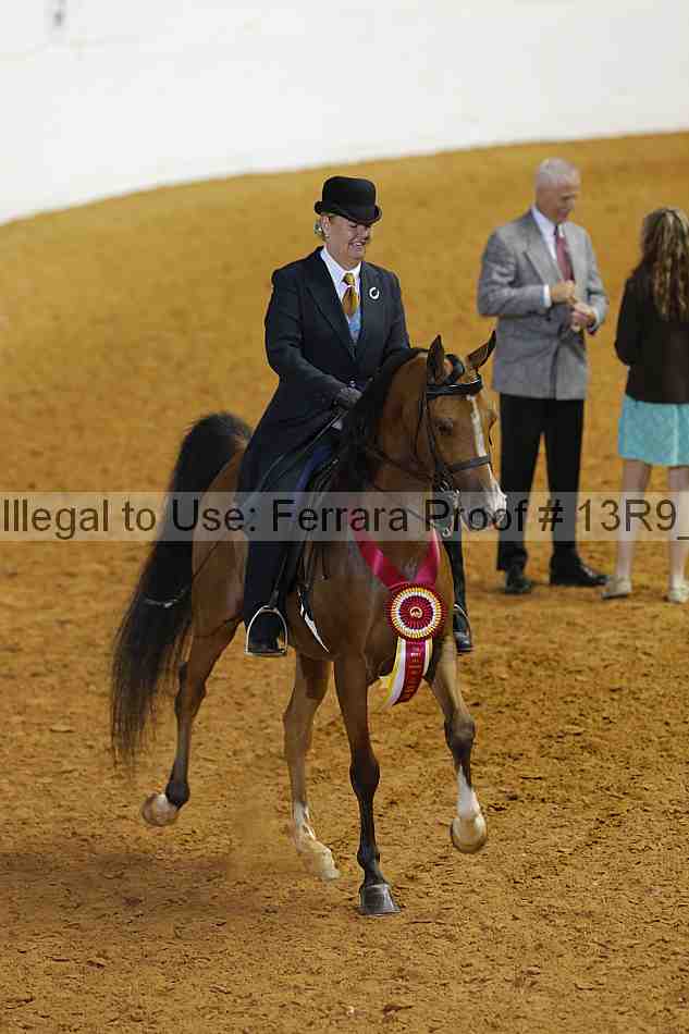 Proof 13r9_3458