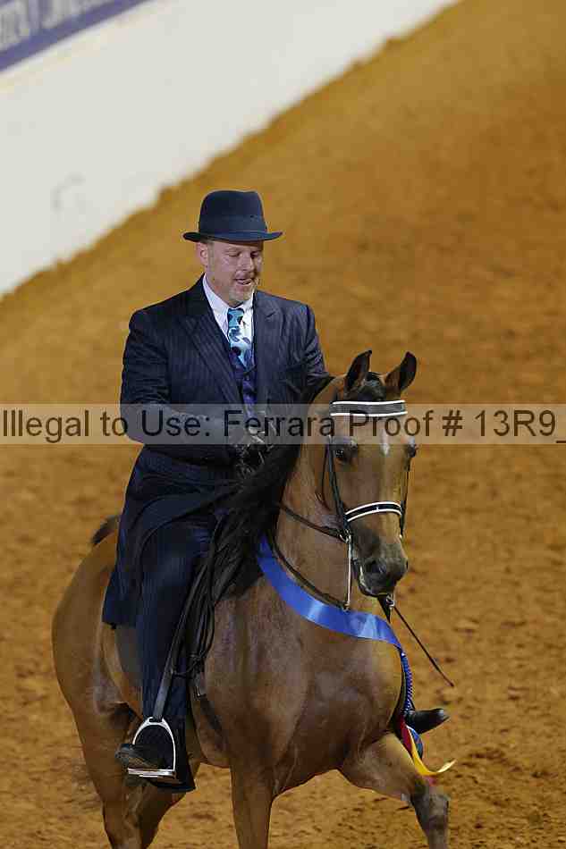 Proof 13r9_3462