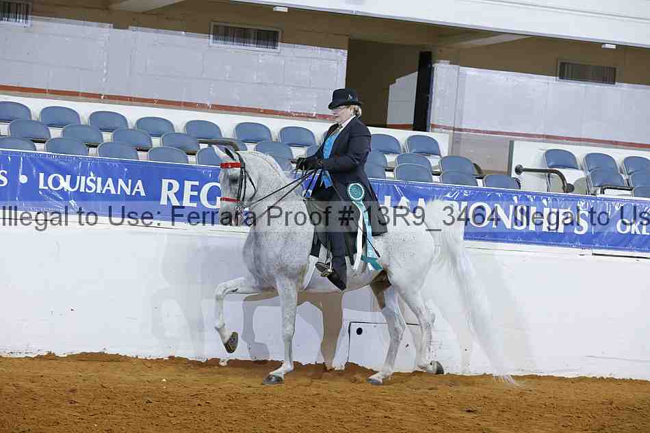 Proof 13r9_3464