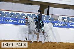 13r9_3464 proof