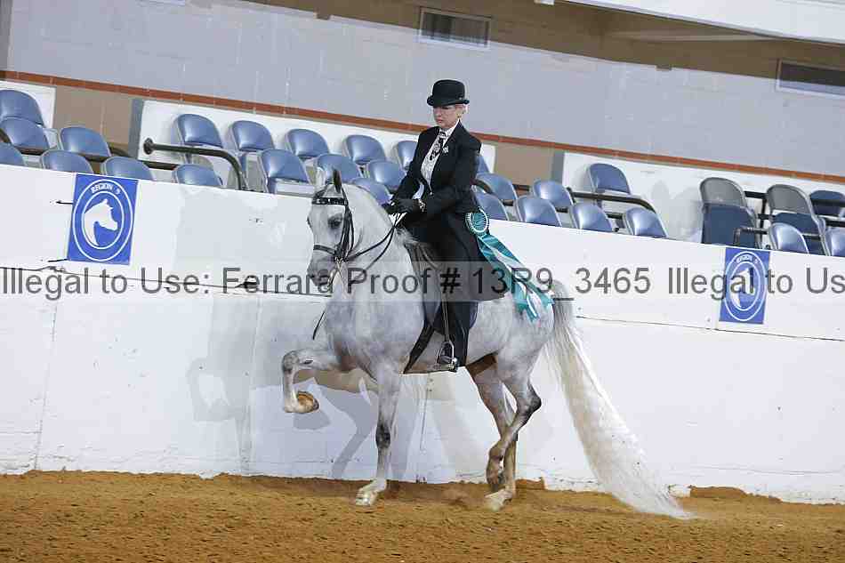 Proof 13r9_3465