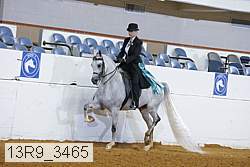 13r9_3465 proof