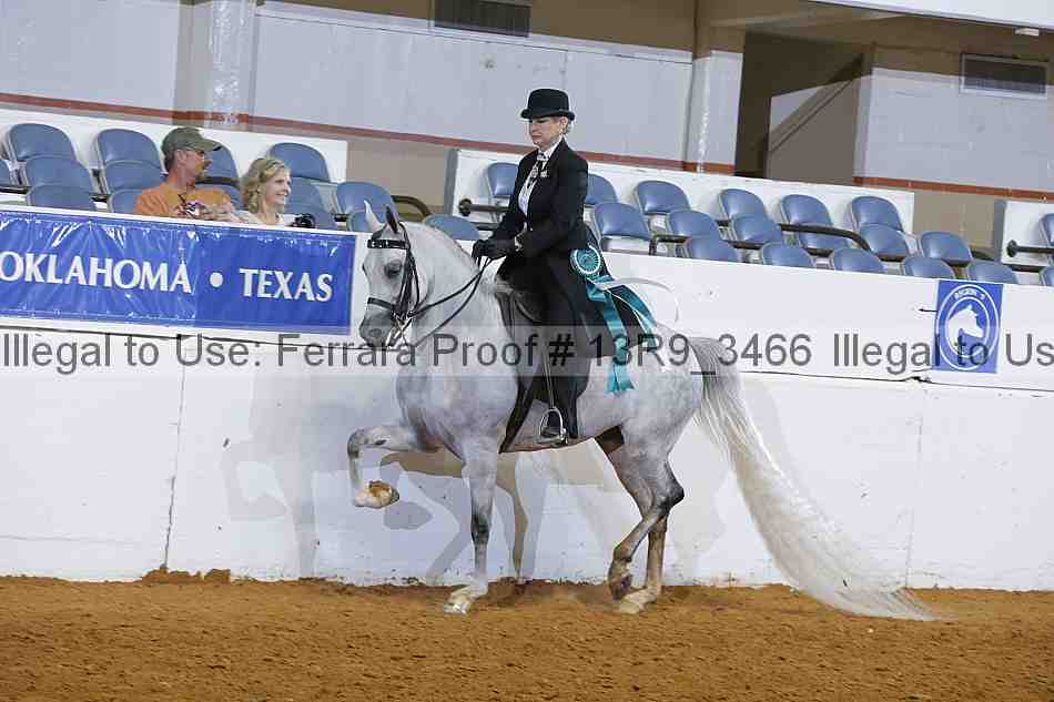 Proof 13r9_3466