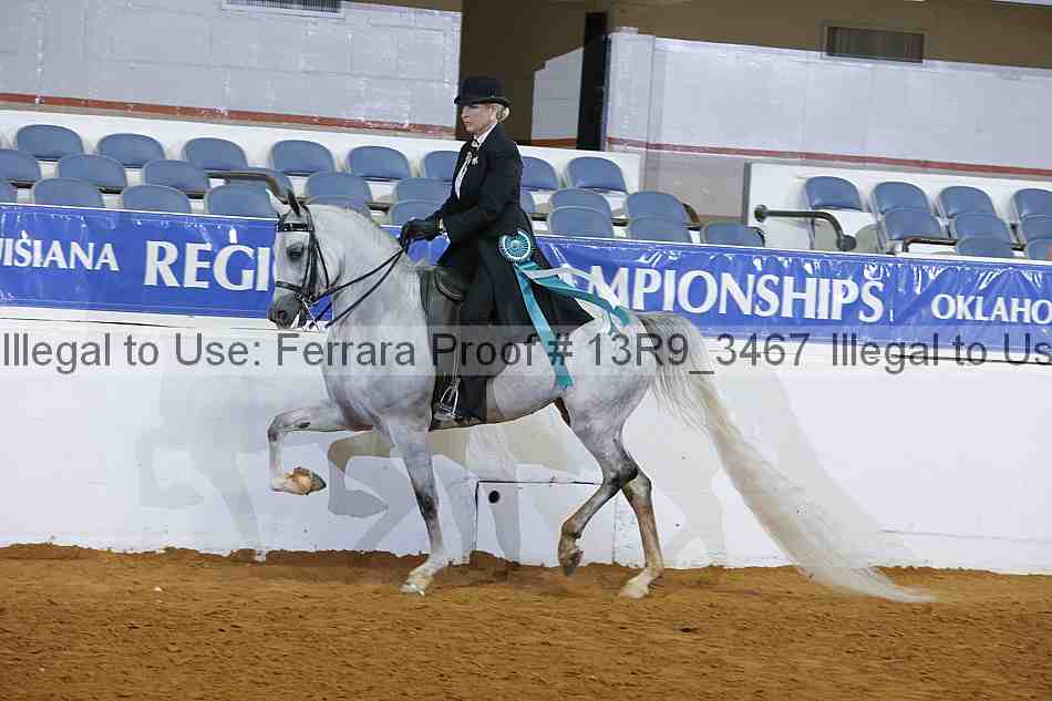 Proof 13r9_3467