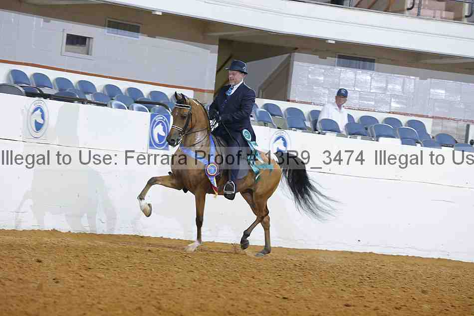 Proof 13r9_3474
